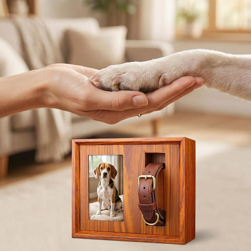 Wooden pet memorial box with dog photo and collar - lifestyle